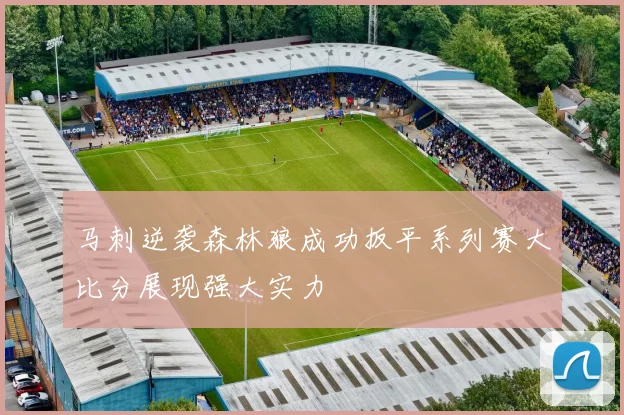 马刺逆袭森林狼成功扳平系列赛大比分展现强大实力