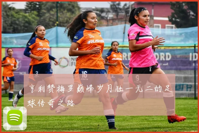 亨利赞梅罗巅峰岁月独一无二的足球传奇之路