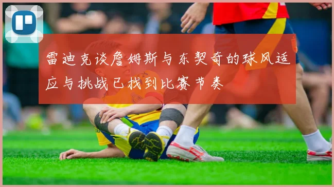 雷迪克谈詹姆斯与东契奇的球风适应与挑战已找到比赛节奏